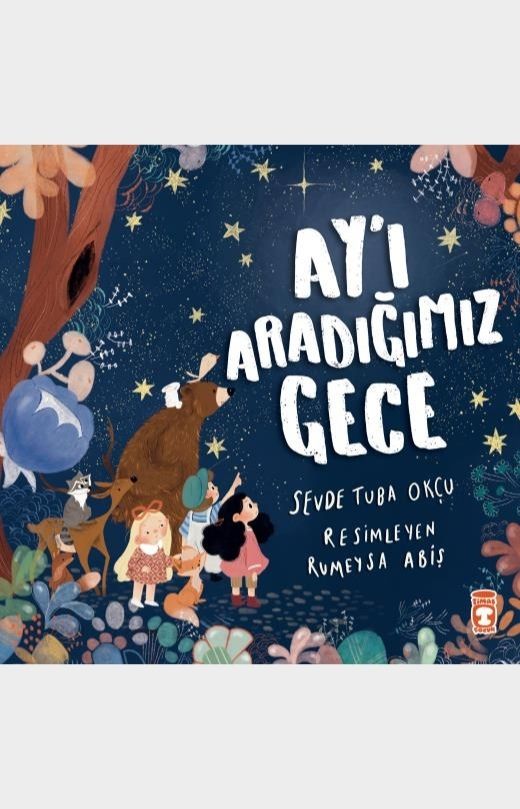 Ay'ı Aradığımız Gece